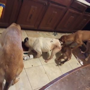 Meet your Posher, Rick